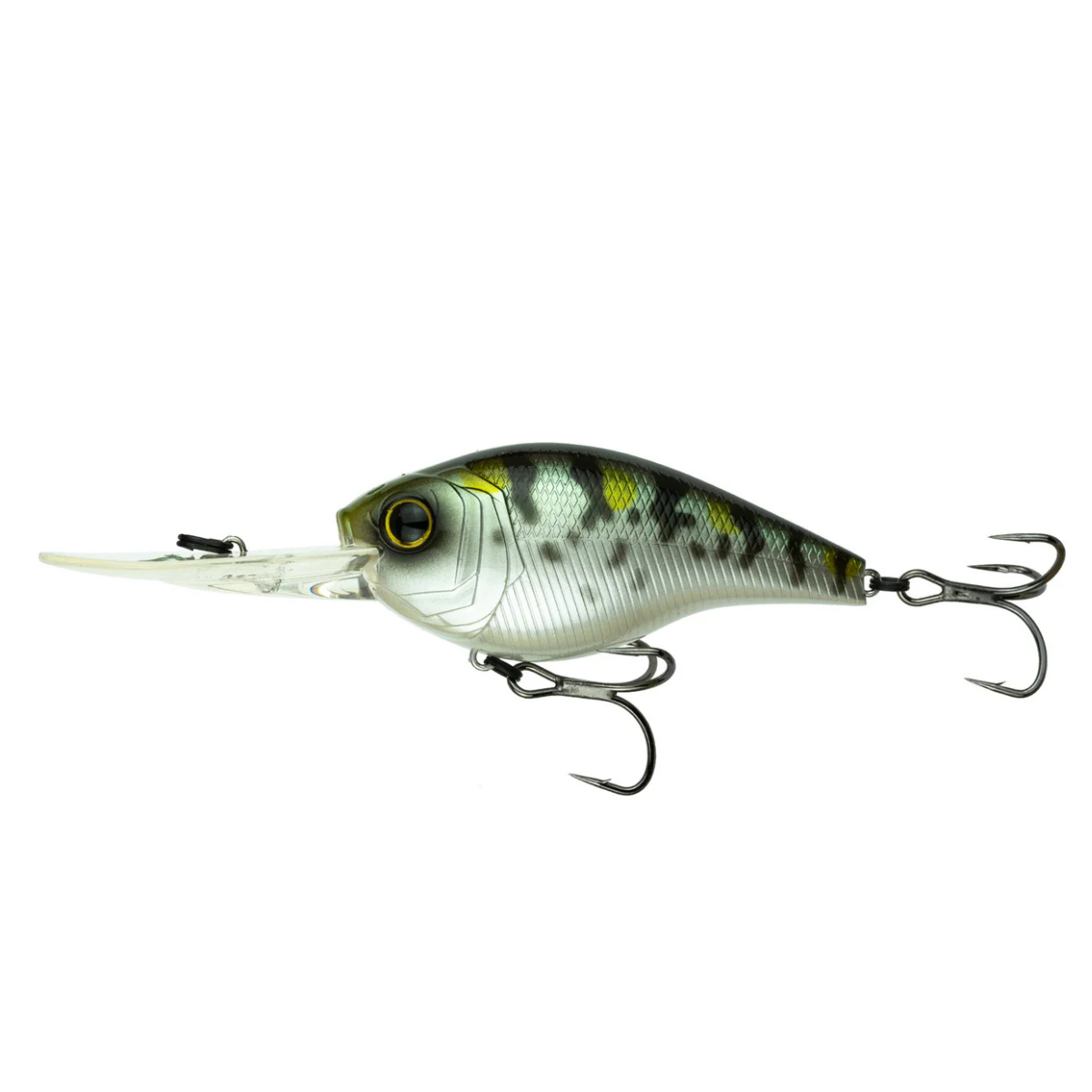 6th Sense - Cloud 9 C15