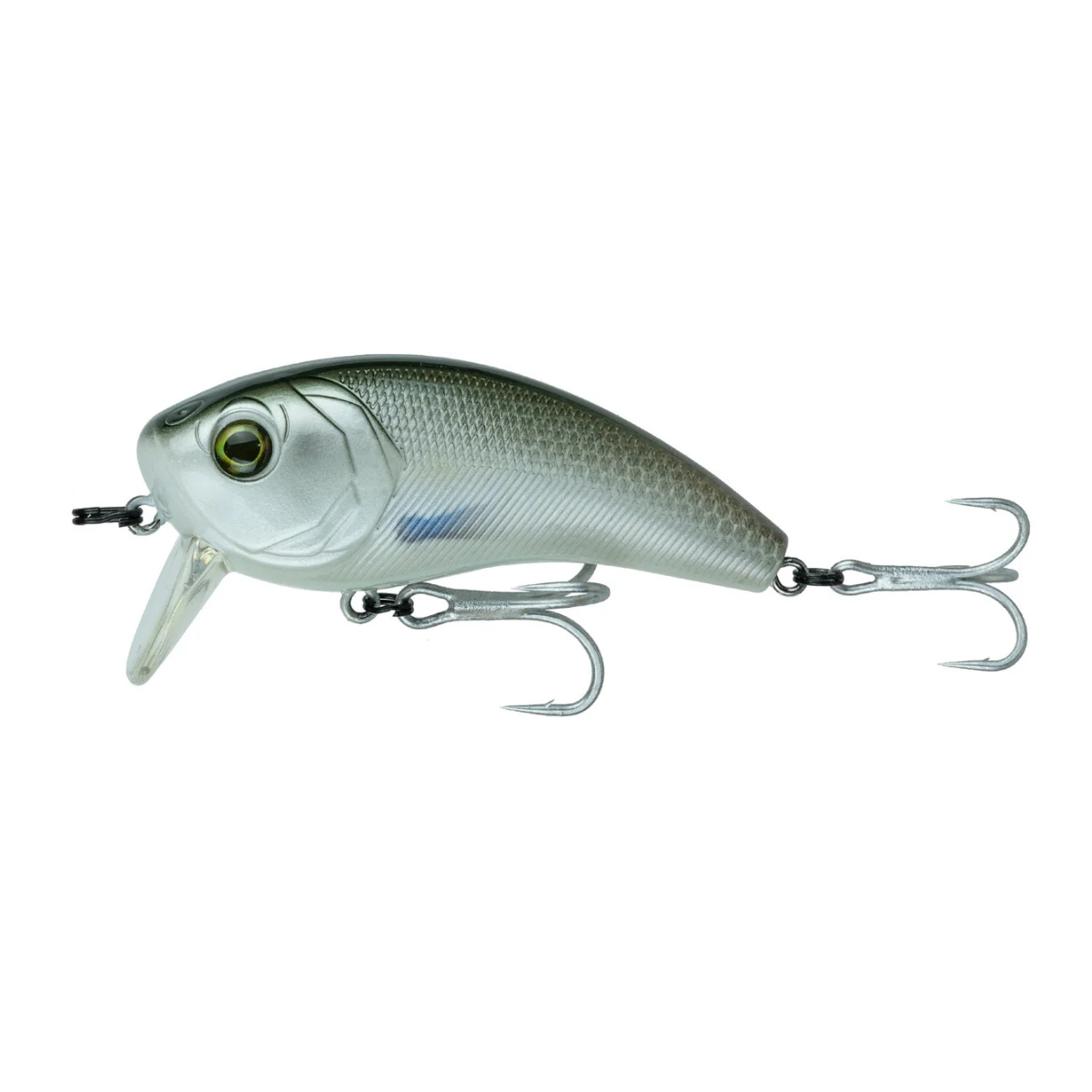 6th Sense - Movement 80WK