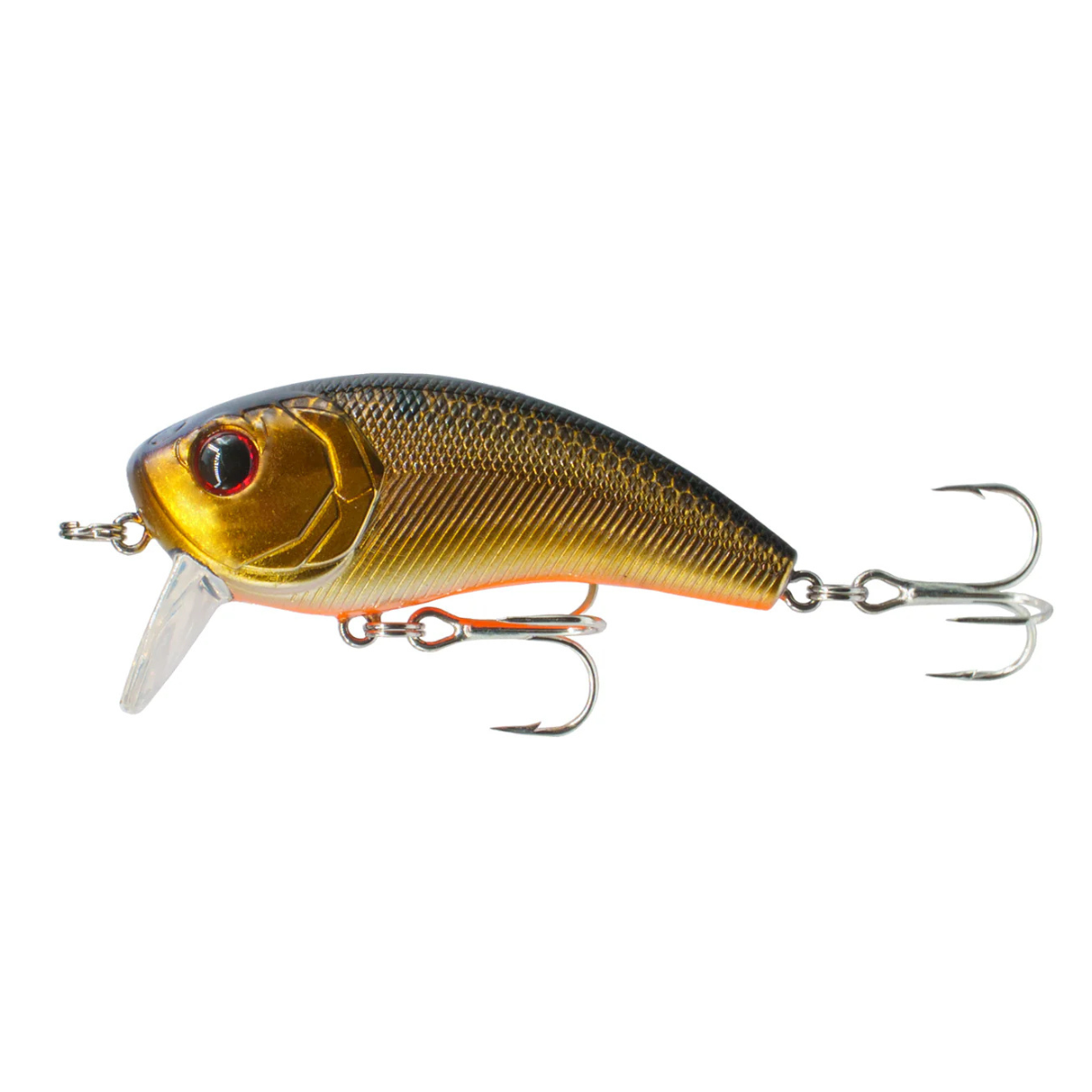 6th Sense - Movement 60WK