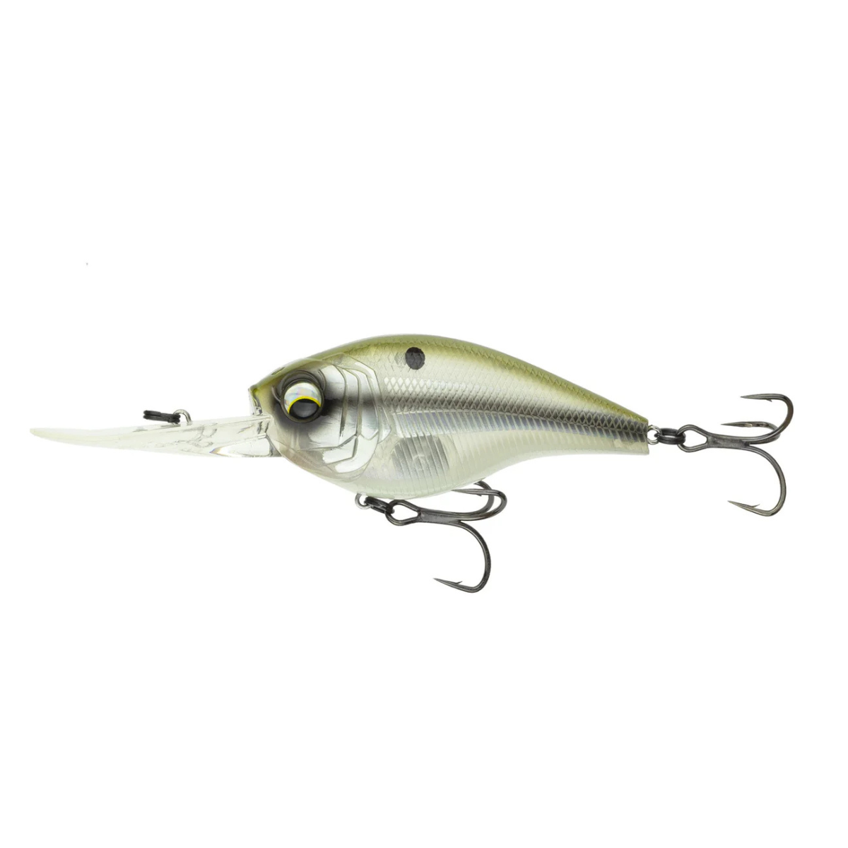 6th Sense - Cloud 9 C15