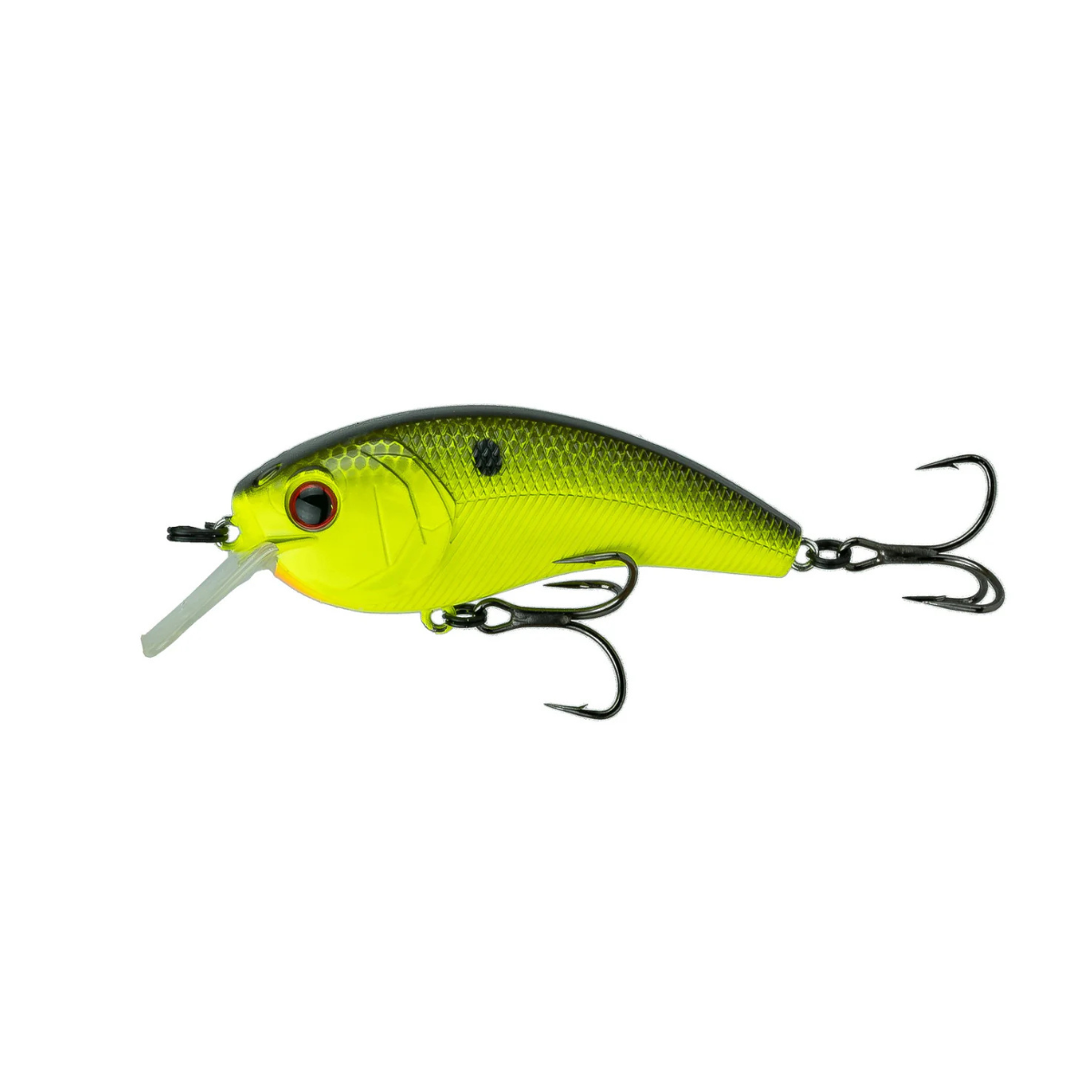 6th Sense - Movement L7