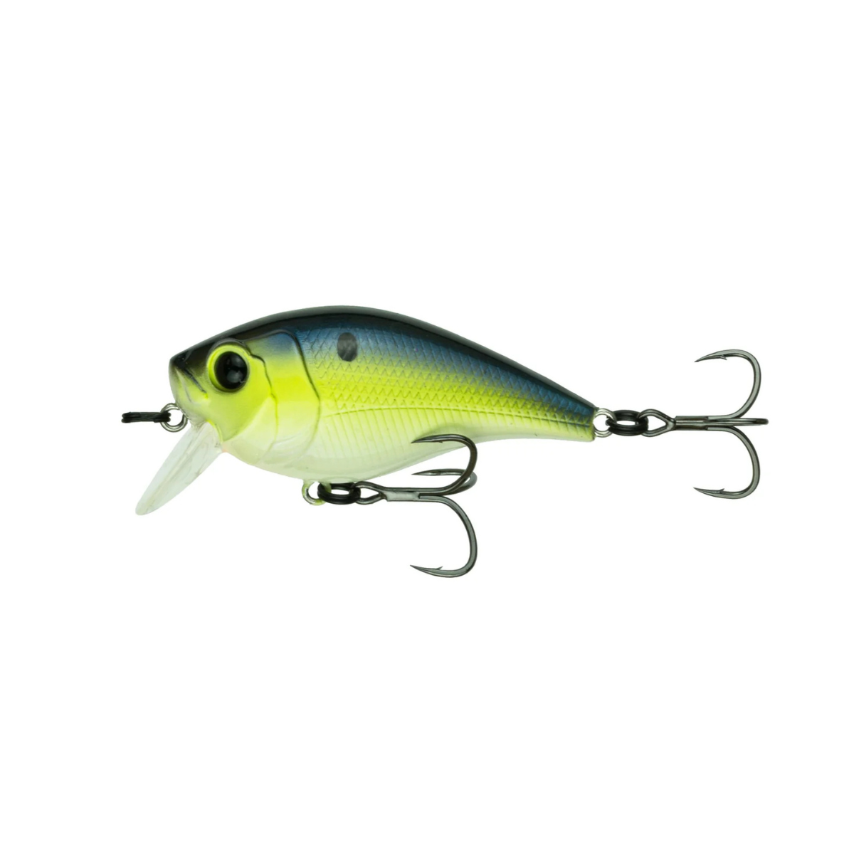 6th Sense - Munch 40