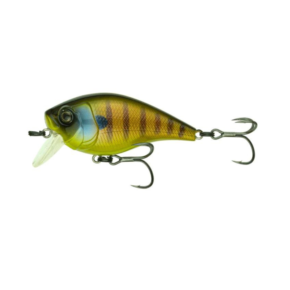 6th Sense - Munch 40