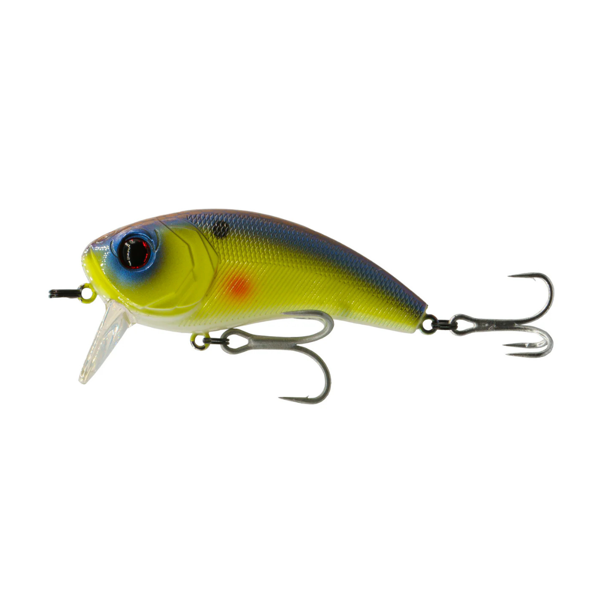 6th Sense - Movement 80WK