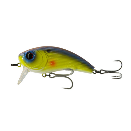 6th Sense - Movement 80WK