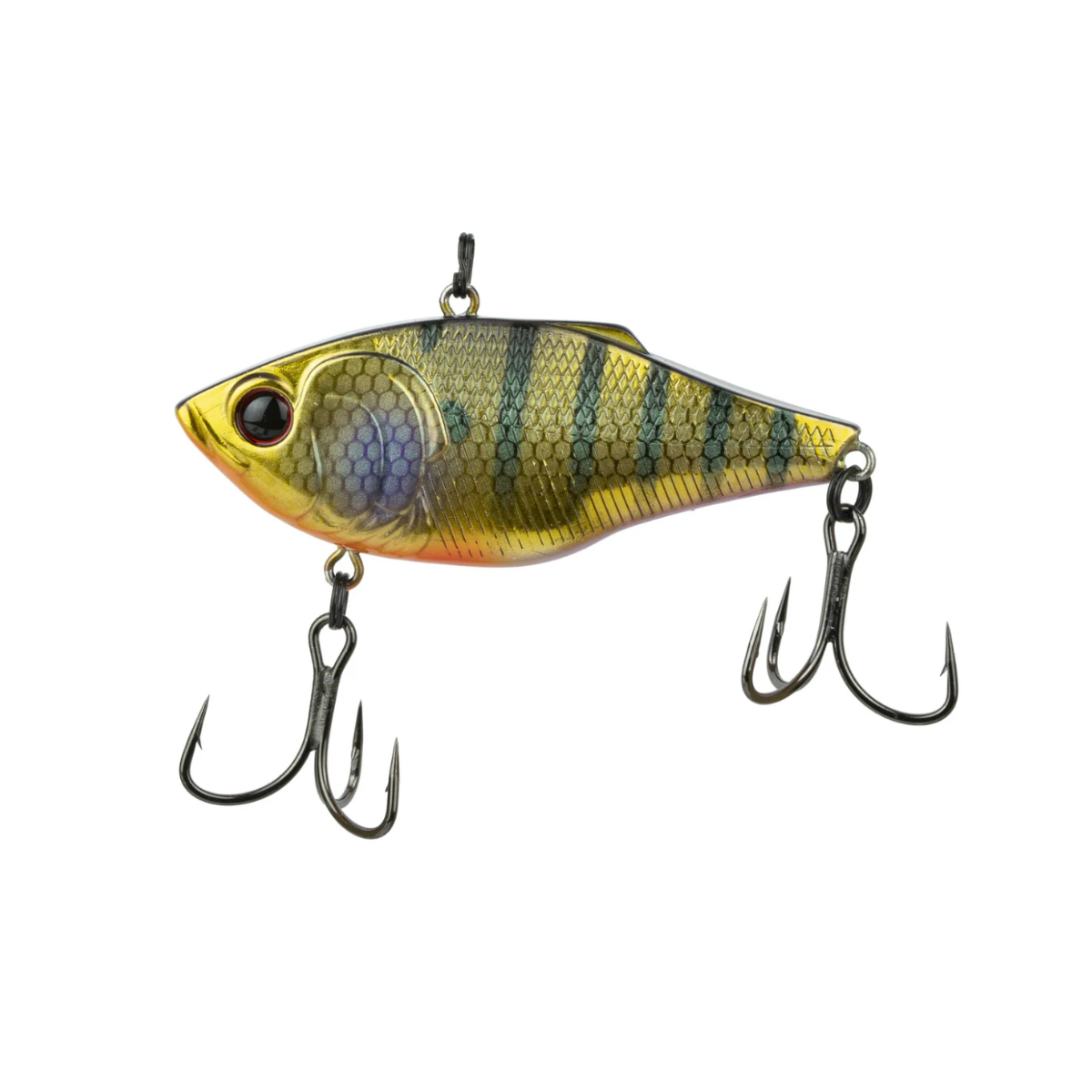 6th Sense - Quake 70