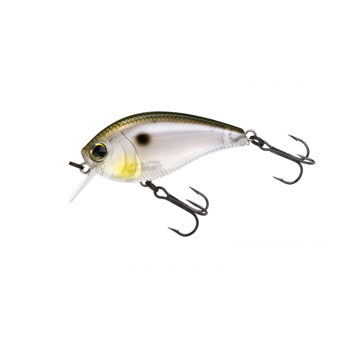 Yo-Zuri - 3DB Crank 1.5 Squarebill